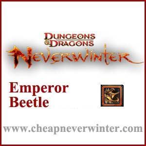 Picture of Emperor Beetle