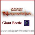 Picture of Giant Beetle