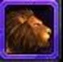 Picture of Turmish Lion
