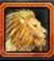 Picture of Swift Golden Lion